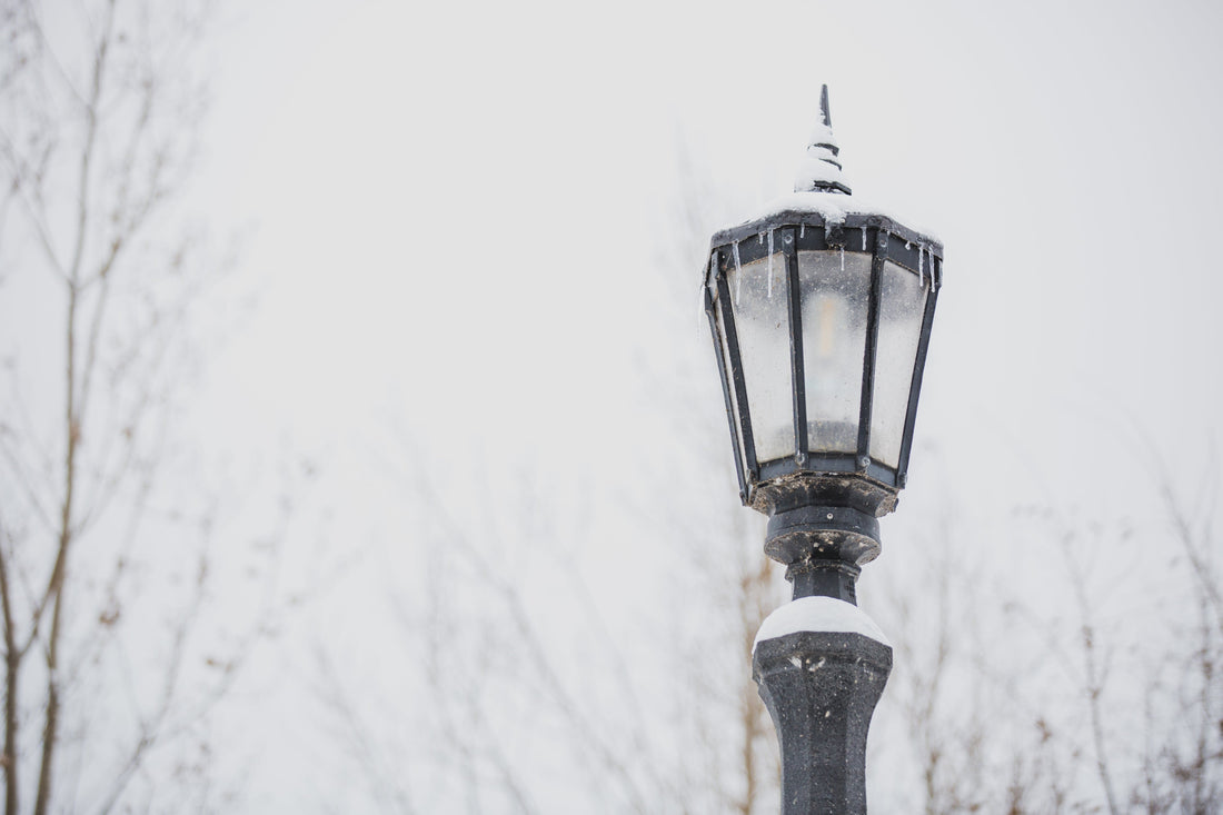 eine Straßenlampe im Winter mit dem grauen Himmel und den blätterlosen Baumäste im Hintergrund