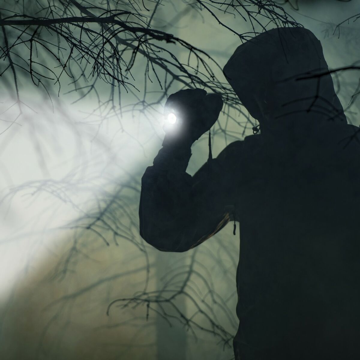 V10H386E8A8954F4F0F81D80C22170329B7CR5365405P3