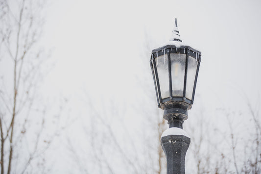 eine Straßenlampe im Winter mit dem grauen Himmel und den blätterlosen Baumäste im Hintergrund