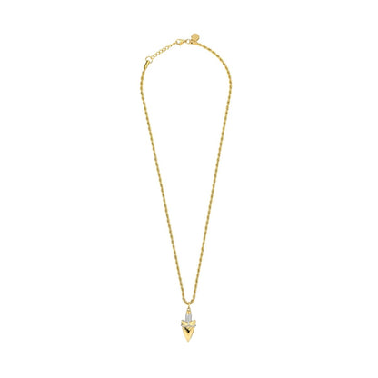 V4HFD1A085C1DD6DEBD69C5FADCCCF37349R7374547P1